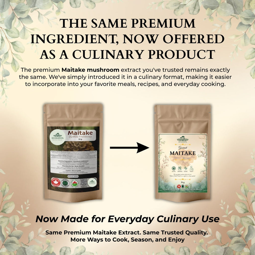 Ecogenya Gourmet Maitake Mushroom Powder – Organic Fruiting Body Extract for Broths & Soups