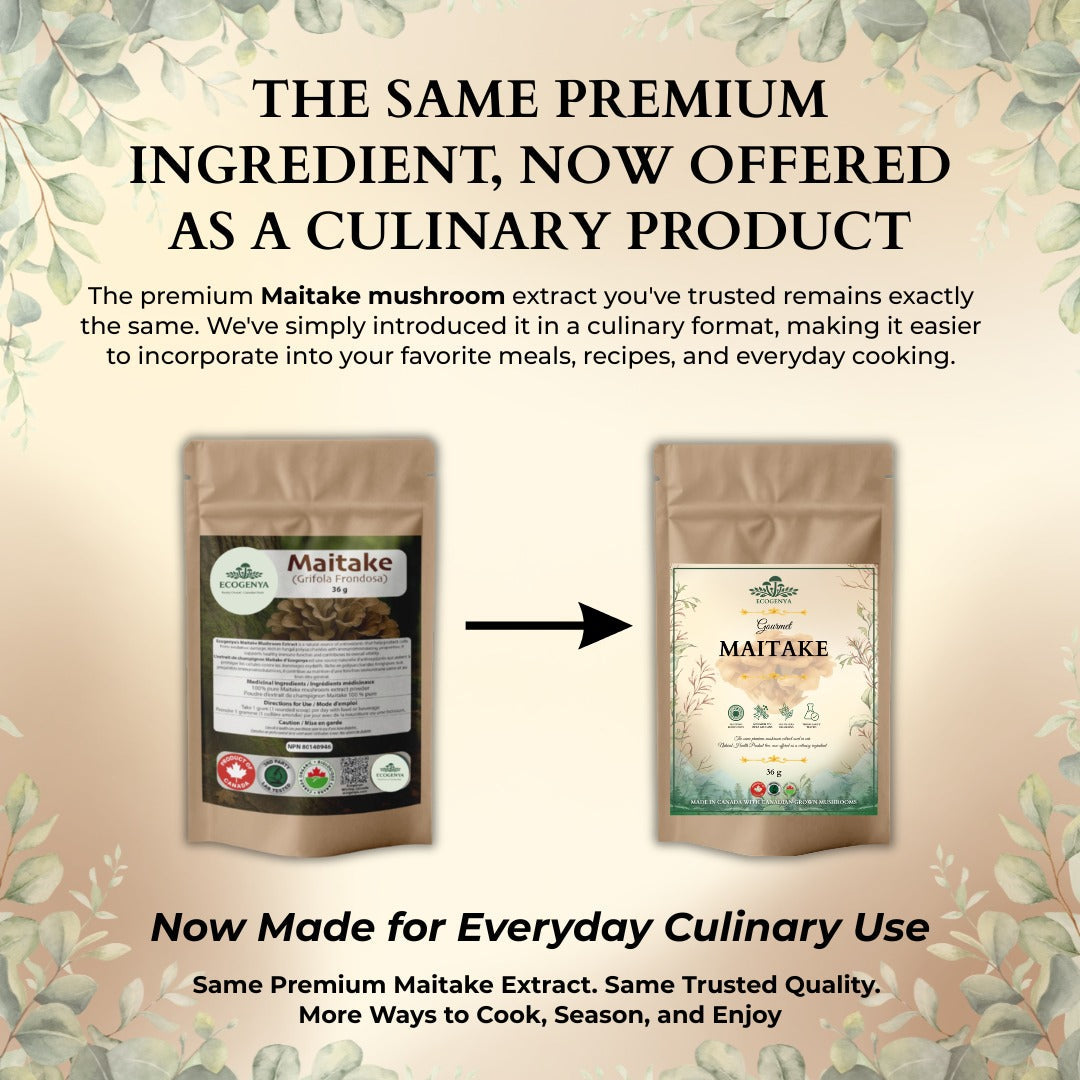 Ecogenya Gourmet Maitake Mushroom Powder – Organic Fruiting Body Extract for Broths & Soups
