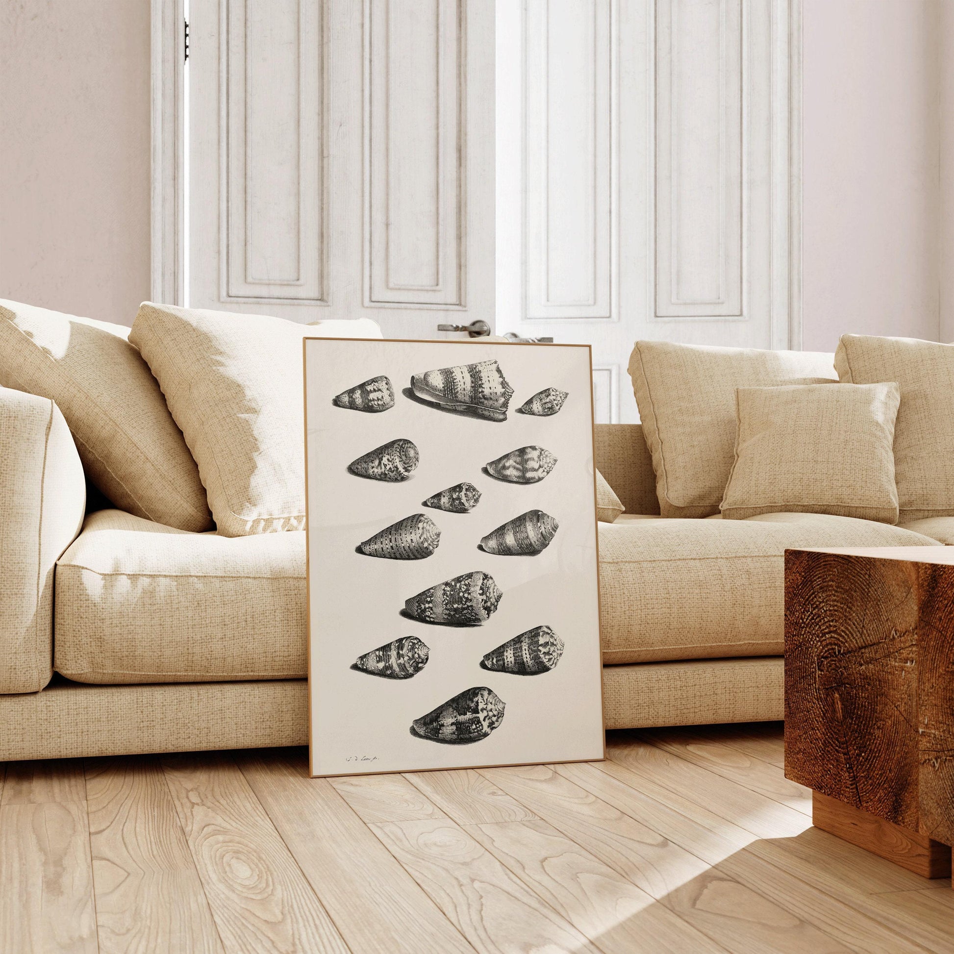 Maria Sybilla Merian Shells Print: Black and White Marine Life Art