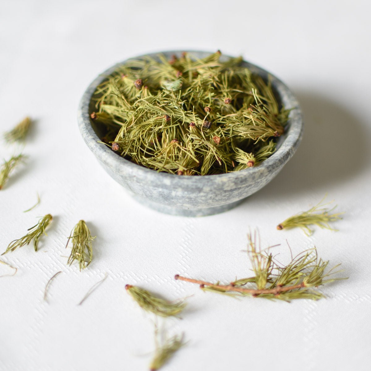 Larch Needle