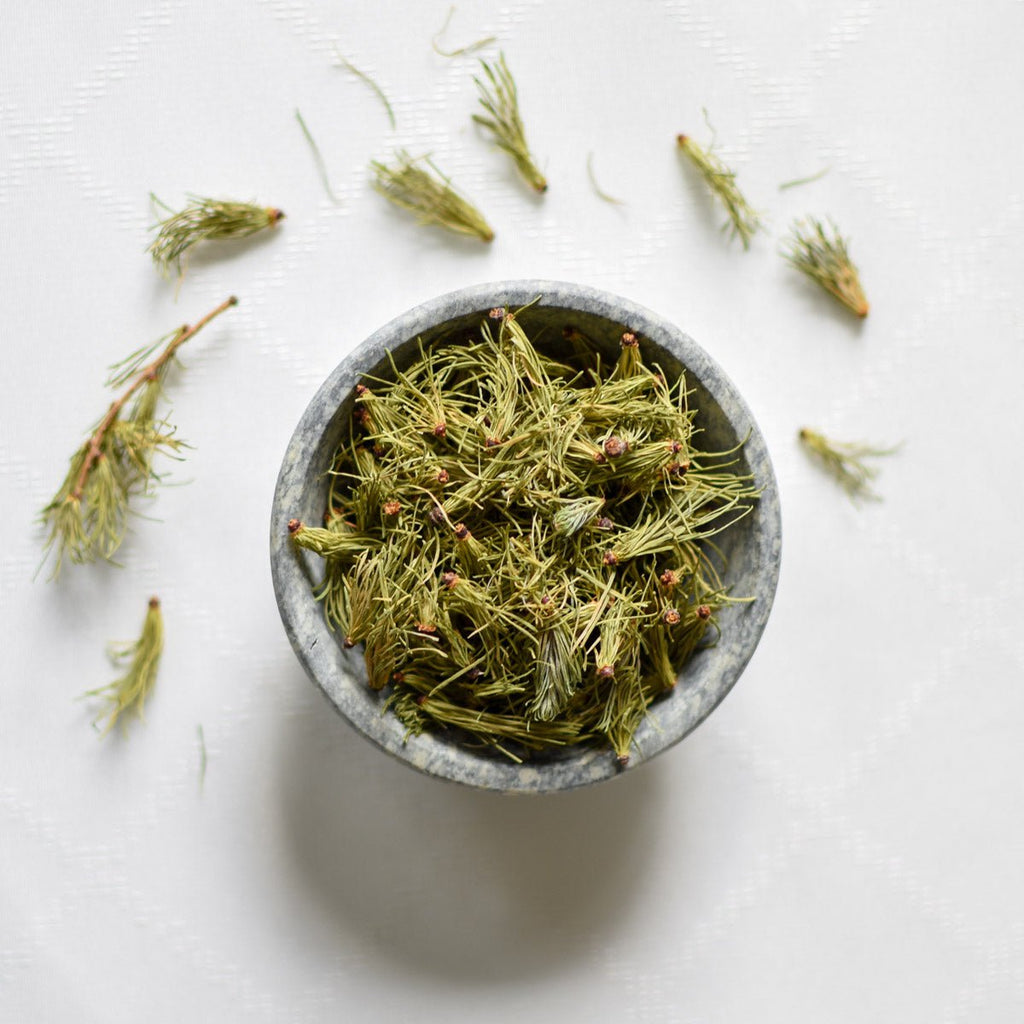 Larch Needle