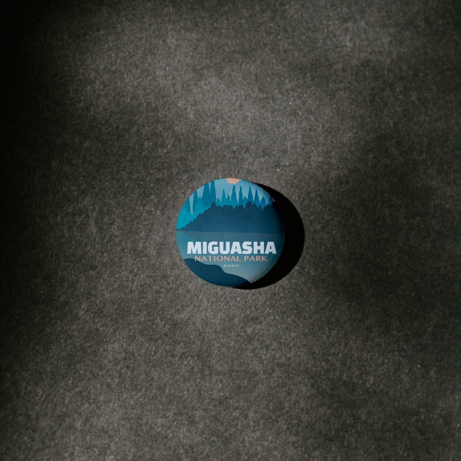 Miguasha National Park of Quebec Pinback Button