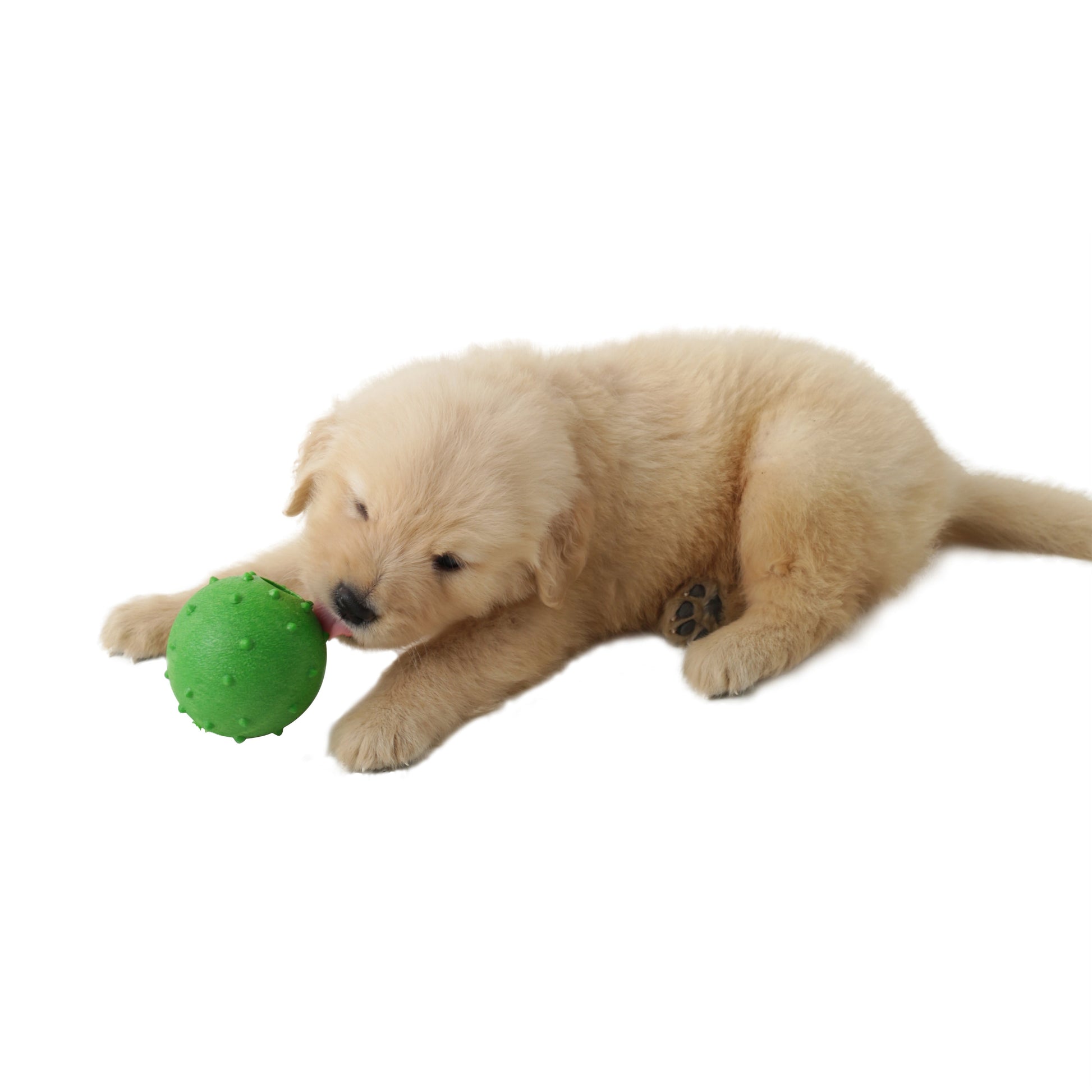 Jouet pour chien monstre avec balle distributrice de friandises - Peluche et puzzle interactif