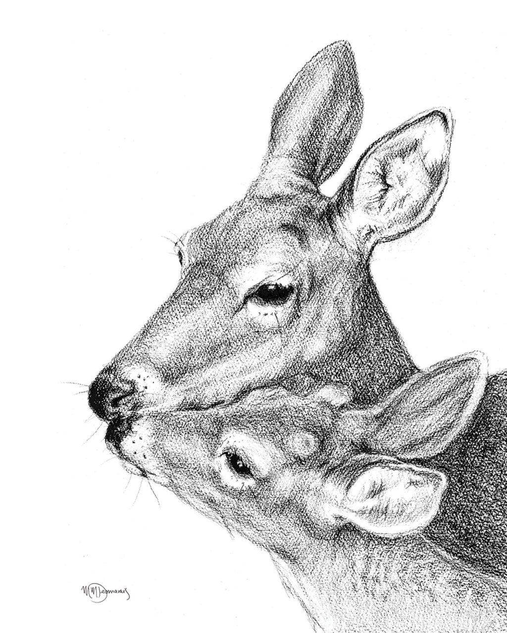 Mother and Baby Deer - Greeting Card