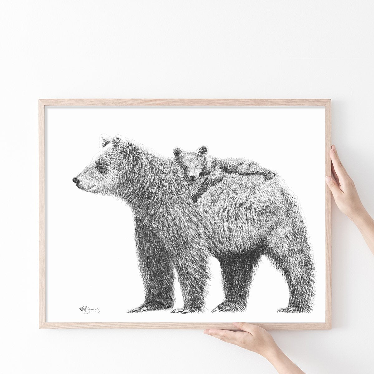 Grizzly with cub - wildlife black and white art print
