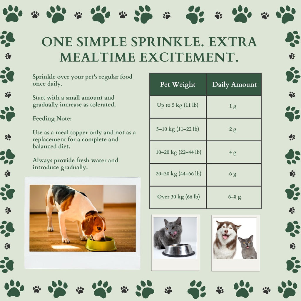 Ecogenya Mother's Milk + Whole Egg Daily Topper for Dogs & Cats — Goat Milk, Colostrum & Whole Egg Powder, 100g–1kg