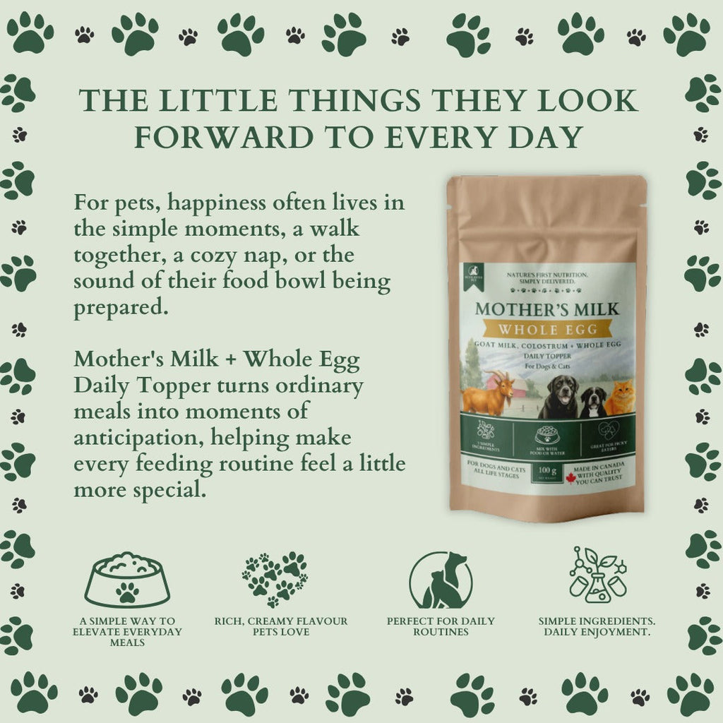 Ecogenya Mother's Milk + Whole Egg Daily Topper for Dogs & Cats — Goat Milk, Colostrum & Whole Egg Powder, 100g–1kg