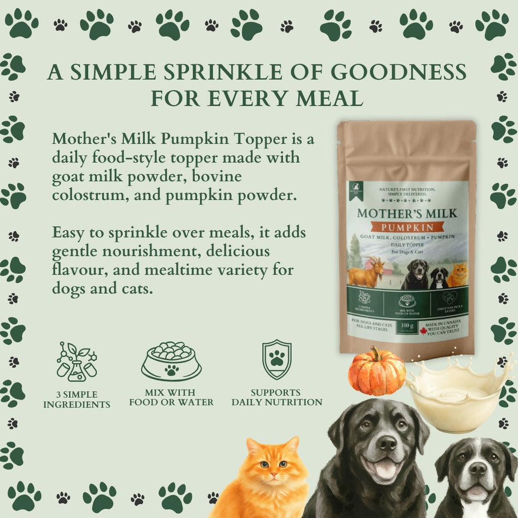 Ecogenya Mother's Milk Pumpkin Daily Topper for Dogs & Cats — Goat Milk, Colostrum & Pumpkin Powder, 100g–1kg
