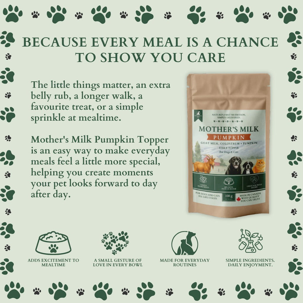 Ecogenya Mother's Milk Pumpkin Daily Topper for Dogs & Cats — Goat Milk, Colostrum & Pumpkin Powder, 100g–1kg