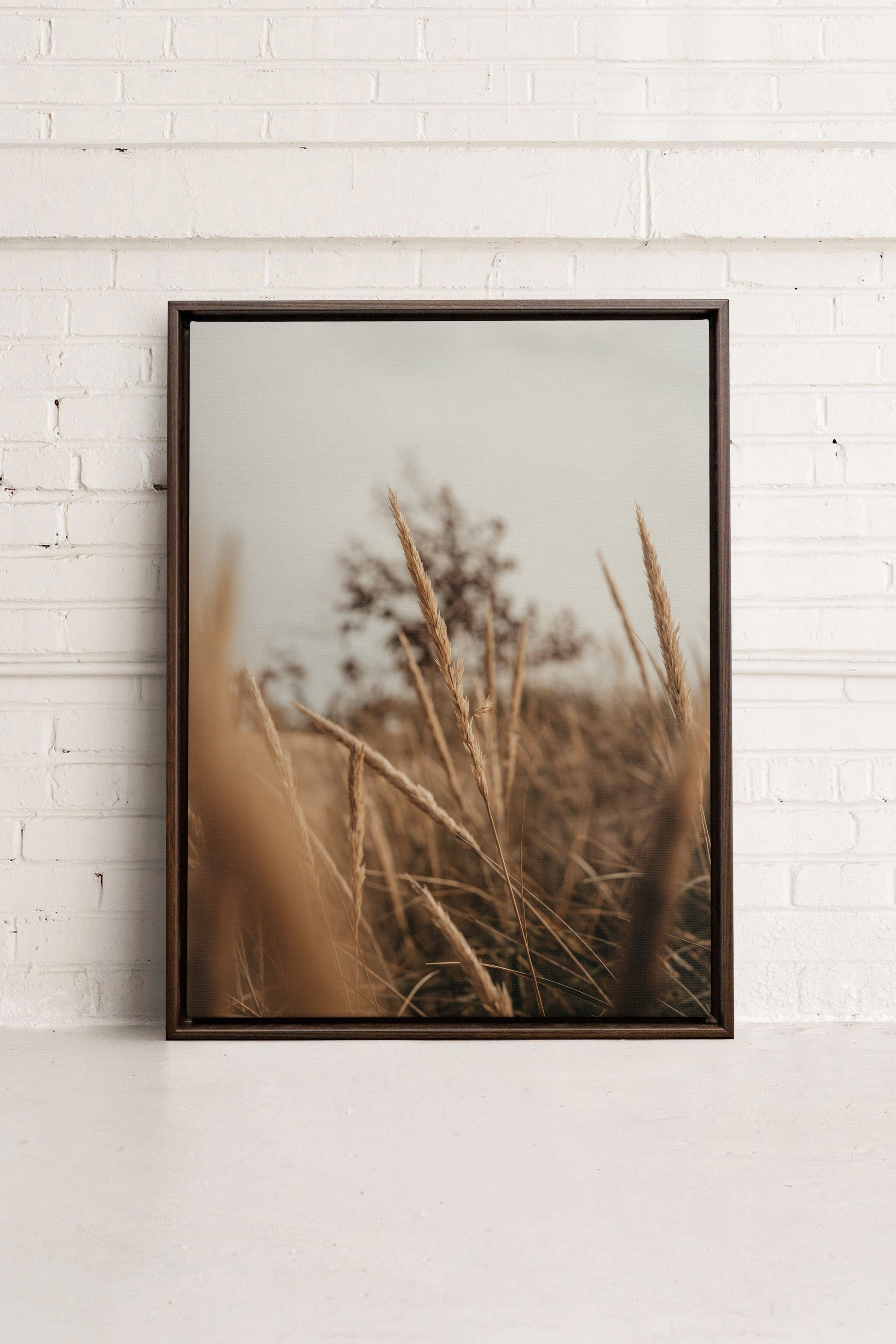 WHEAT, Stretched Canvas Artwork