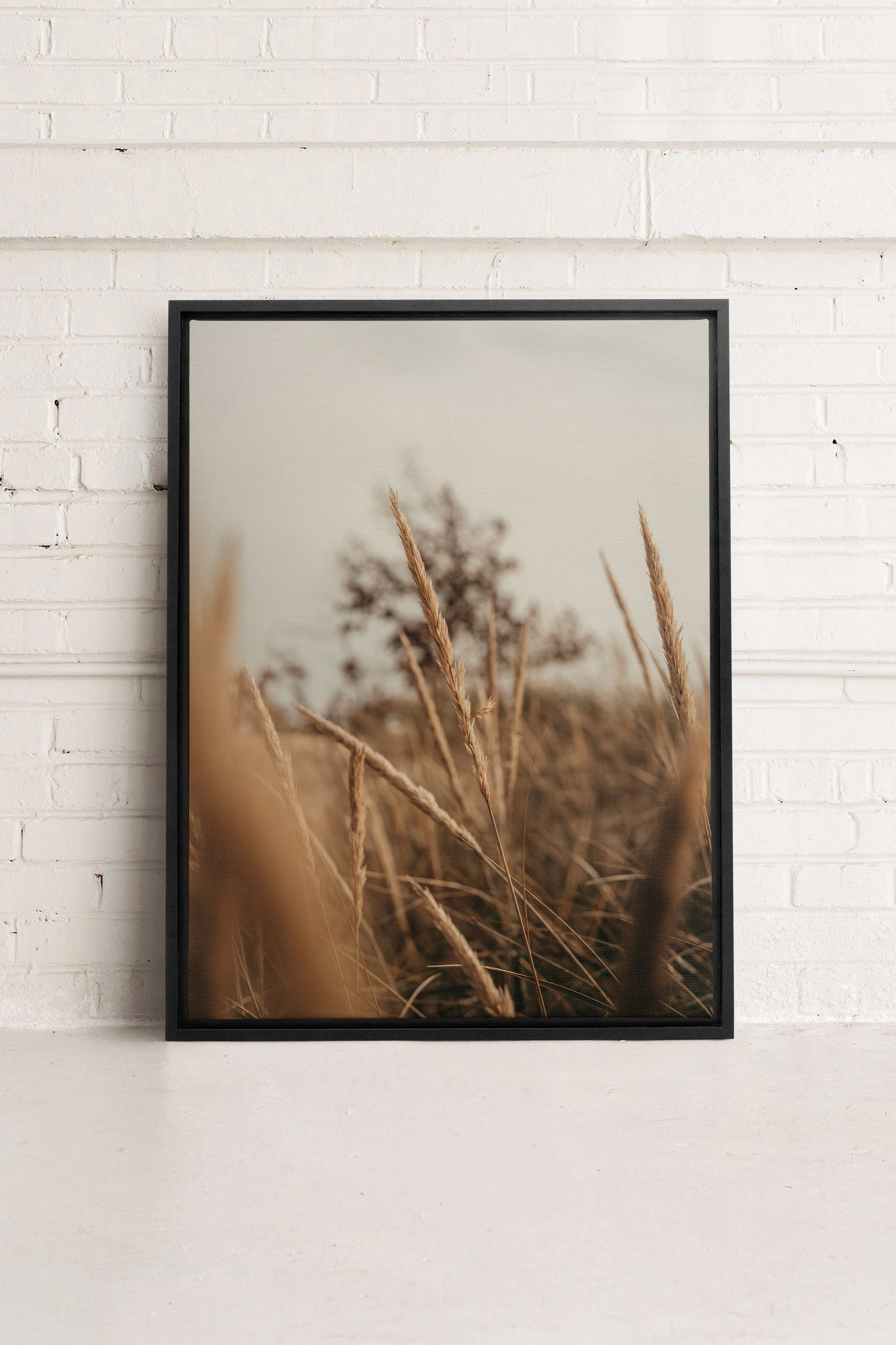 WHEAT, Stretched Canvas Artwork