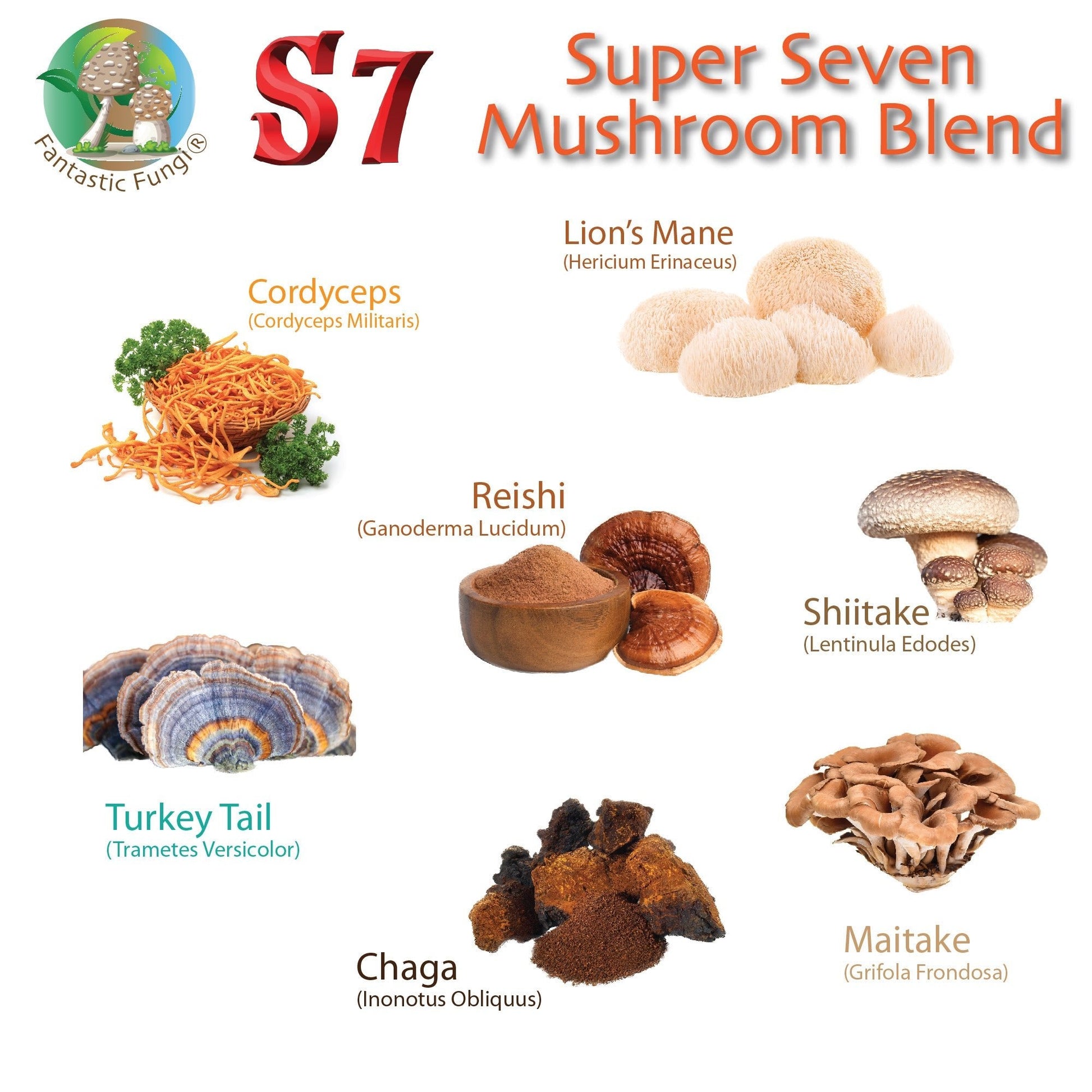 Mush Love Mushroom Cappuccino – Creamy Organic Arabica + Super 7 Blend for Focus & Energy