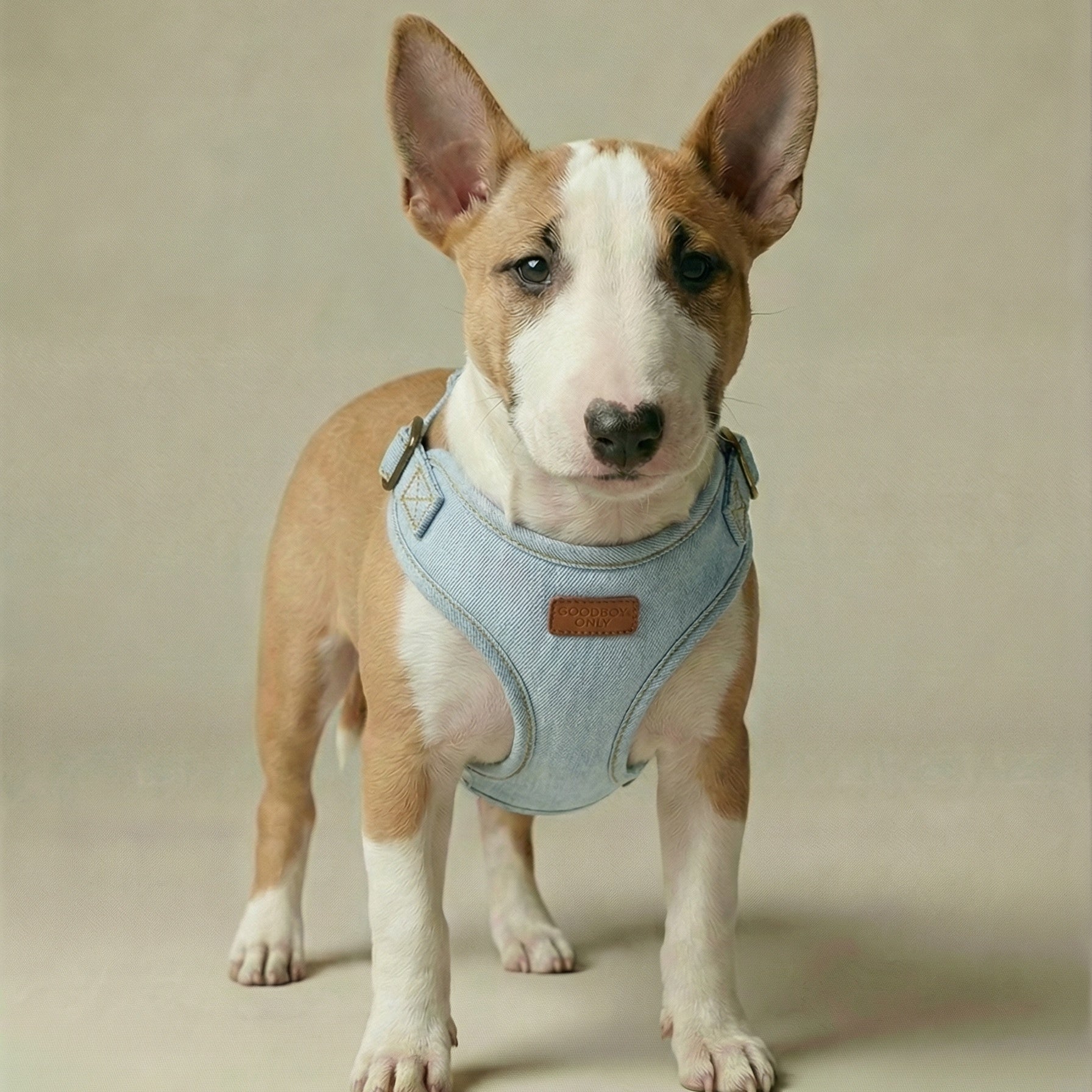 Denim Harness