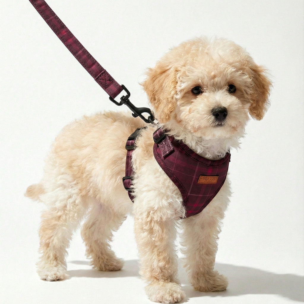 Plaid Leash