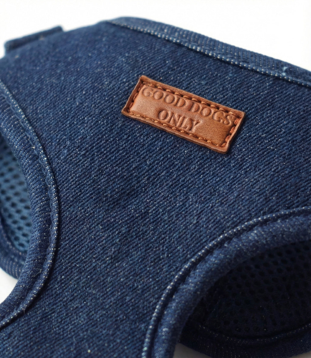 Denim Harness