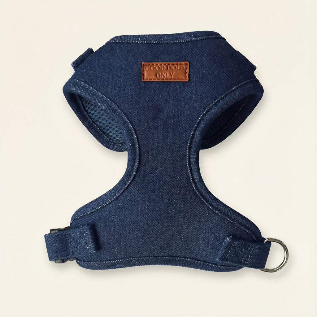 Denim Harness