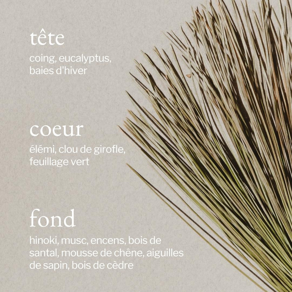 Ambient Mist | Pine Bark + Cedar