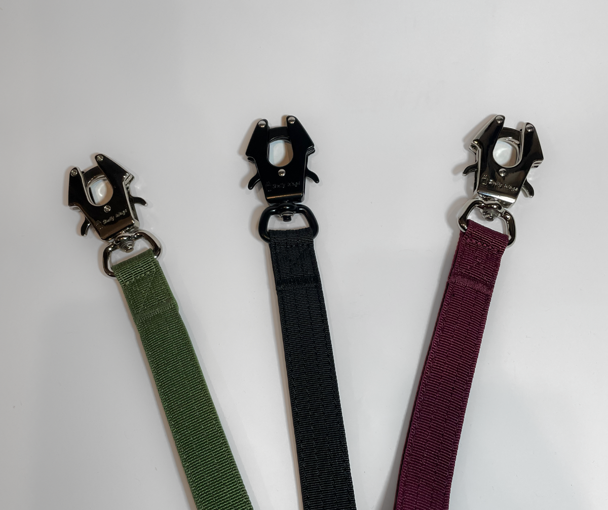 Laisse tactique pour chien - Vert cactus