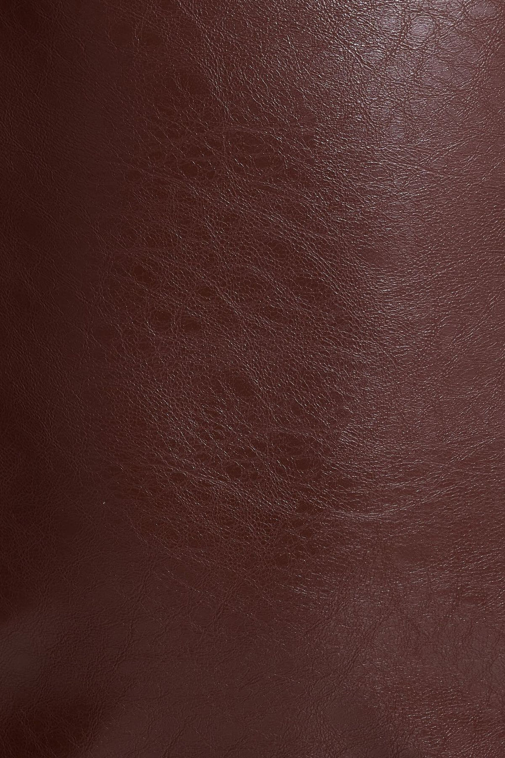 Faux Leather Mini Tube Dress