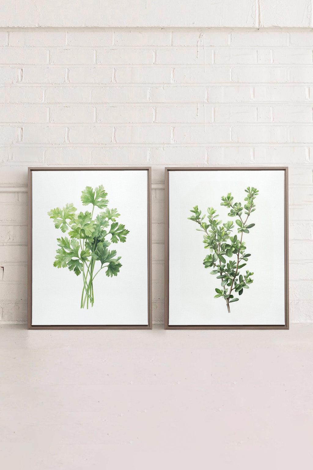 DUO FINE HERBS (2 Stretched Canvas Works)