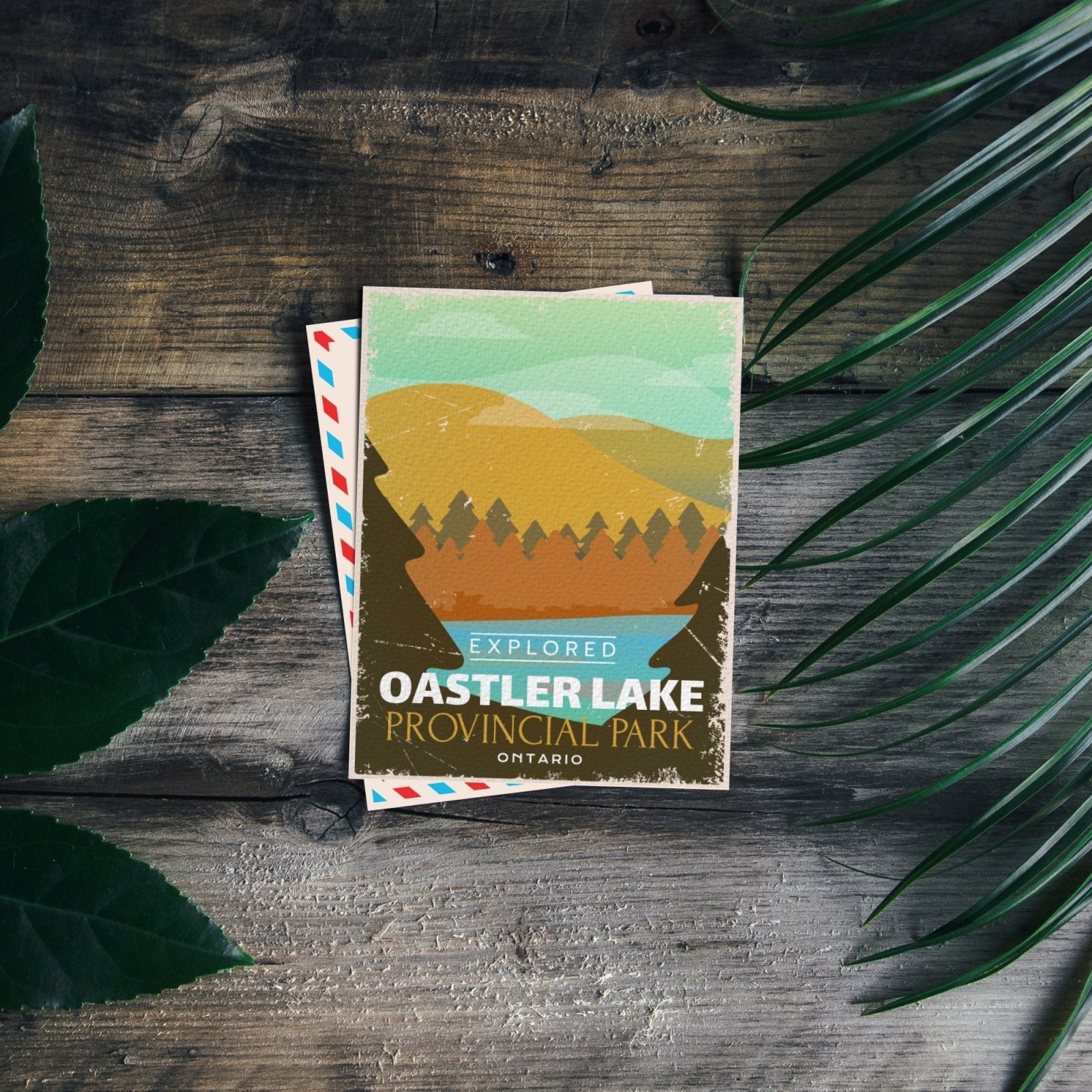 Oastler Lake Ontario Provincial Park Postcard