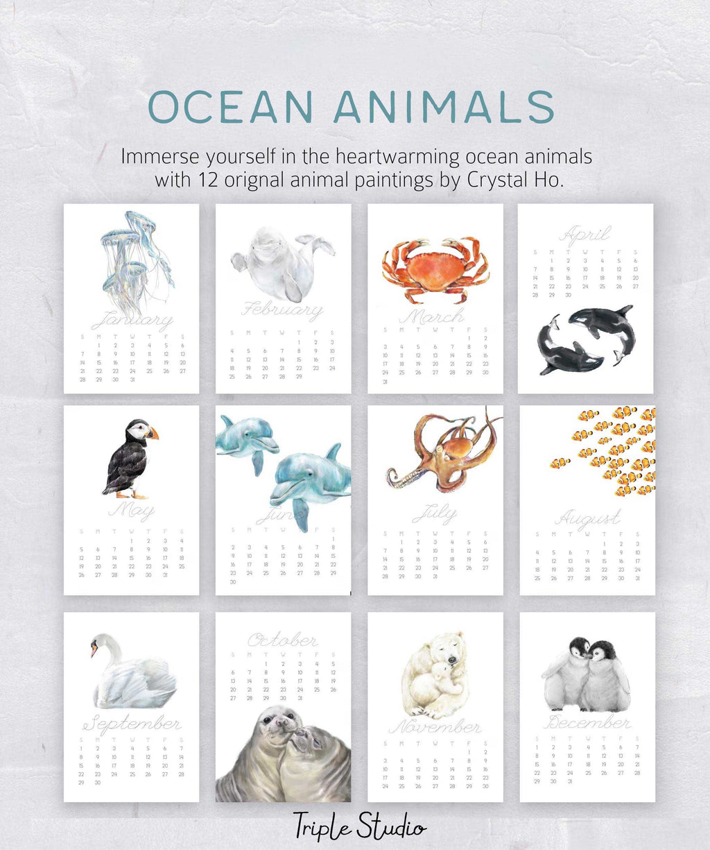 2026 Desk Calendar: Ocean Animal