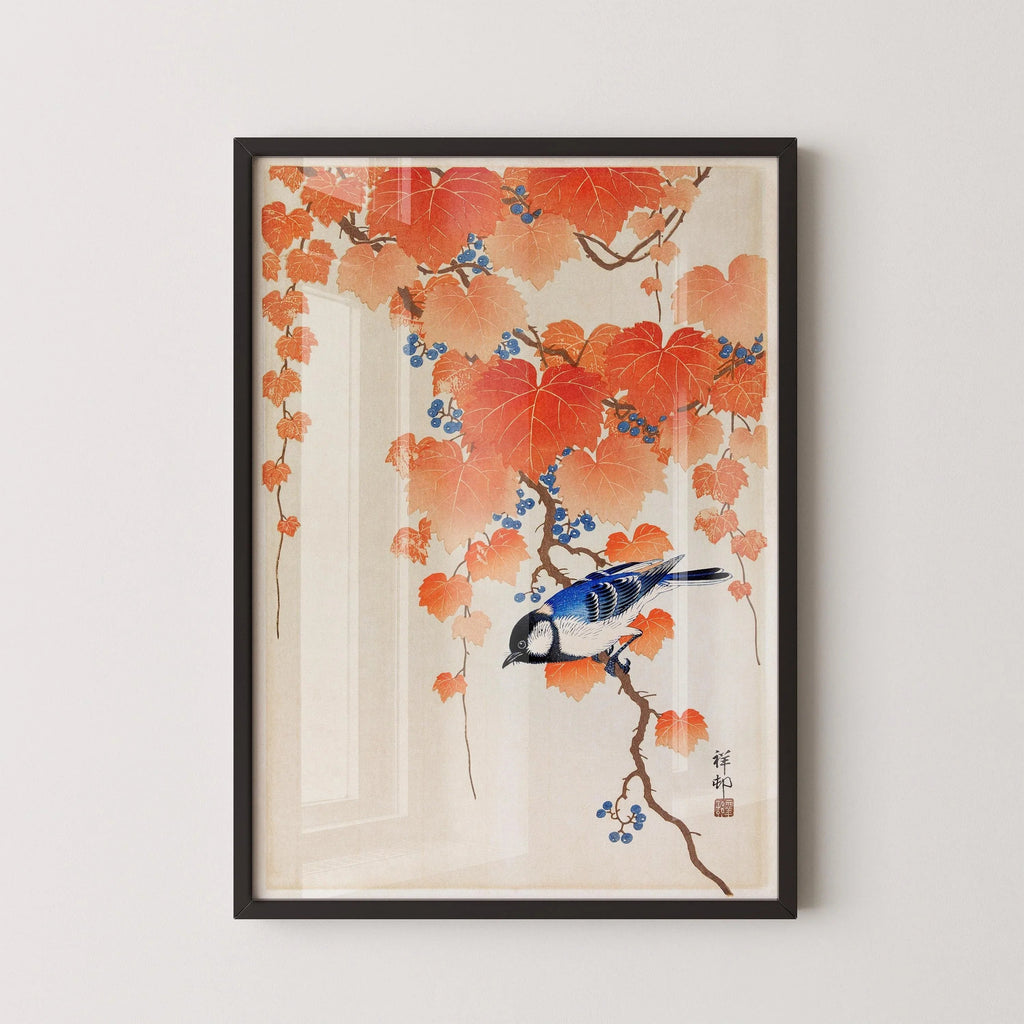 Ohara Koson - Mésange charbonnière sur une branche de paulownia | ESTAMPE | Art japonais Shin-Hanga Kach≈ç-E vintage orange et bleu (disponible encadrée)