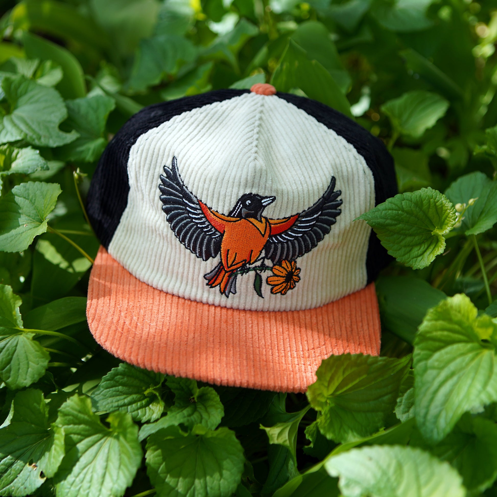 Chapeau en velours côtelé bicolore Oriole