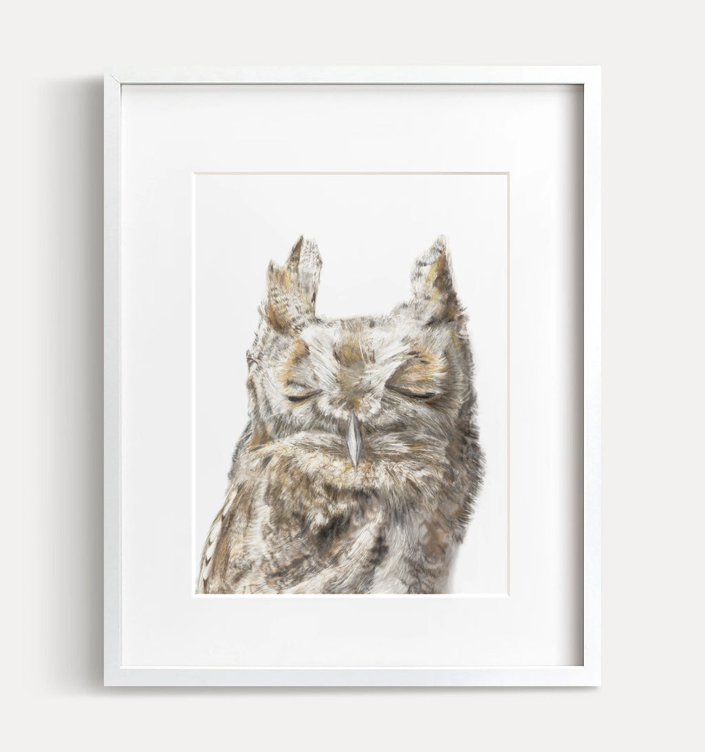 Burrowing Owl Art Print