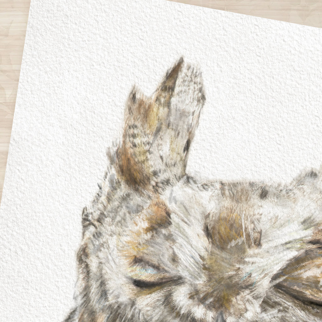 Burrowing Owl Art Print