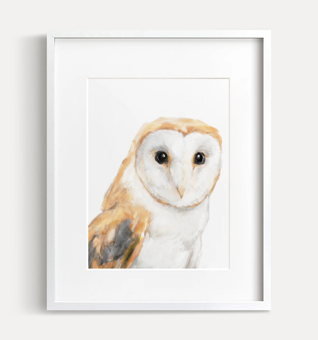 Barn Owl Art Print