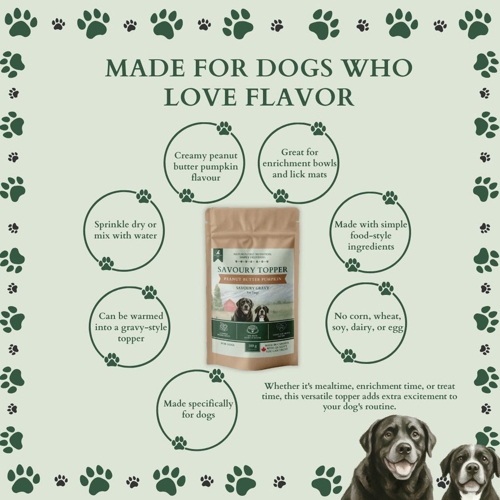 Ecogenya Savoury Topper Peanut Butter Pumpkin Gravy for Dogs — Xylitol-Free Meal Enhancer Powder, 100g–1kg