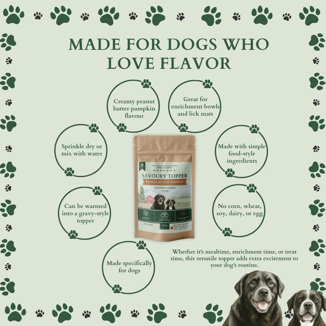 Ecogenya Savoury Topper Peanut Butter Pumpkin Gravy for Dogs — Xylitol-Free Meal Enhancer Powder, 100g–1kg