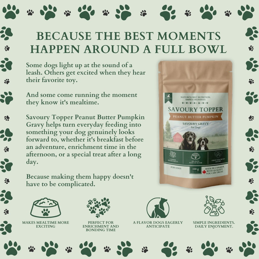 Ecogenya Savoury Topper Peanut Butter Pumpkin Gravy for Dogs — Xylitol-Free Meal Enhancer Powder, 100g–1kg
