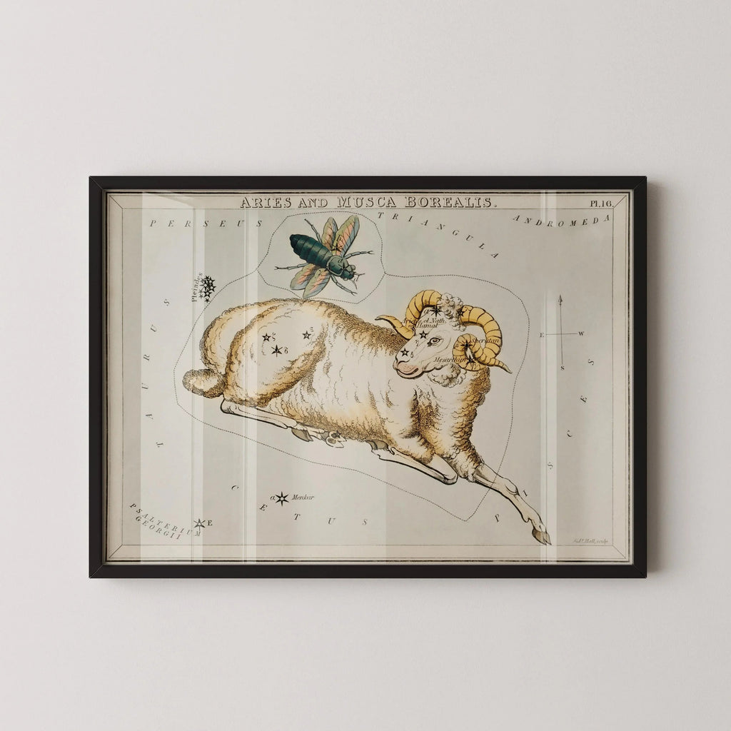 Affiche astrologique vintage personnalisable - Bélier | Sidney Hall Art (disponible encadrée ou non encadrée)