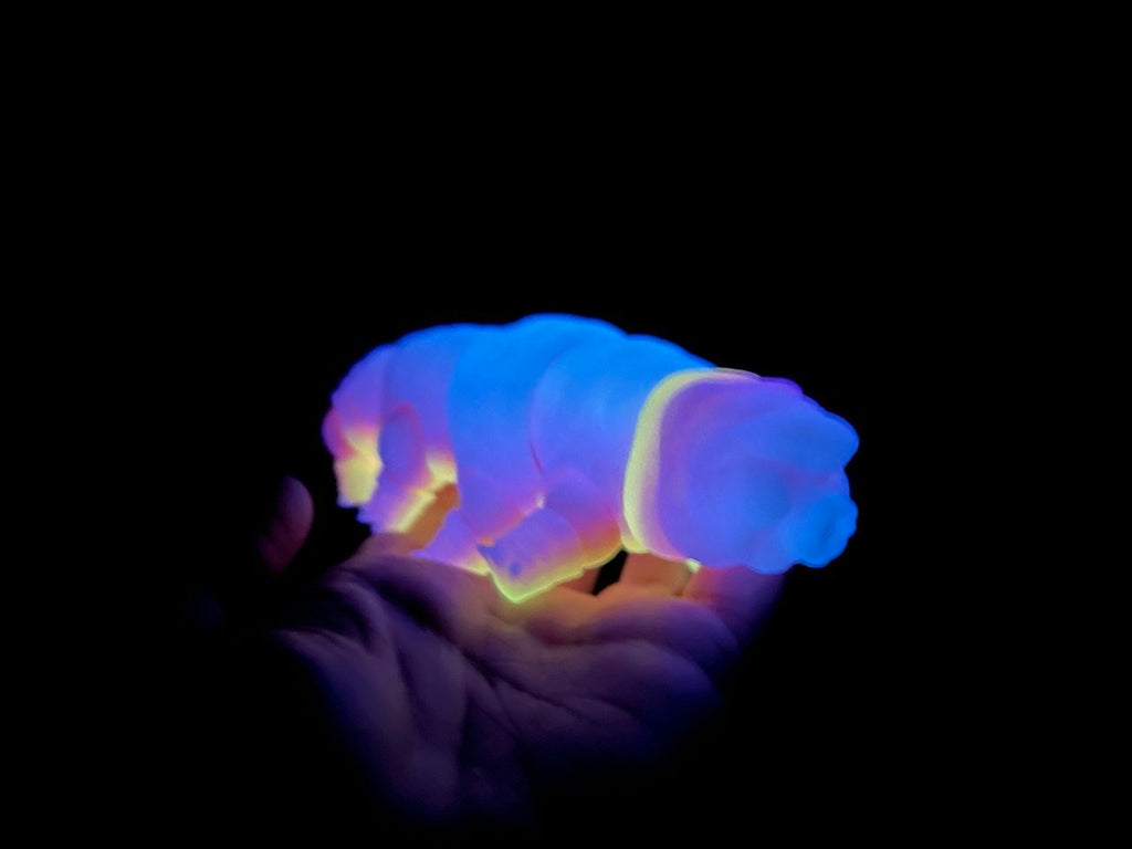 Tardigrade tactile stim fidget - Glow in the dark Water Bear