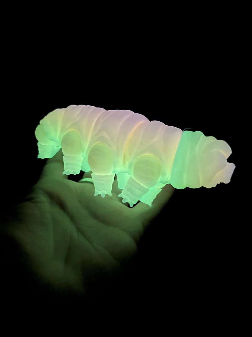 Tardigrade tactile stim fidget - Glow in the dark Water Bear