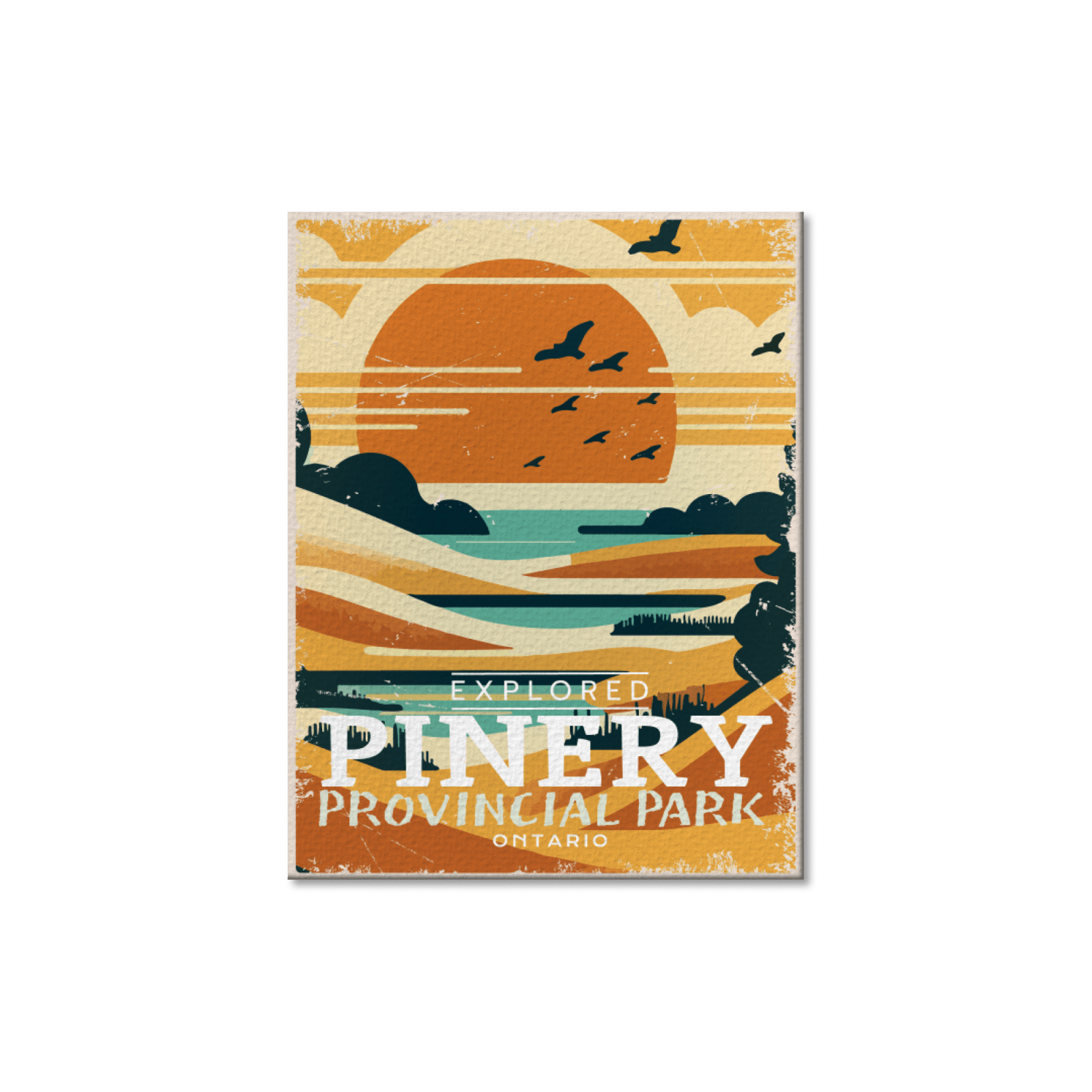 Pinery Ontario Provincial Park Postcard