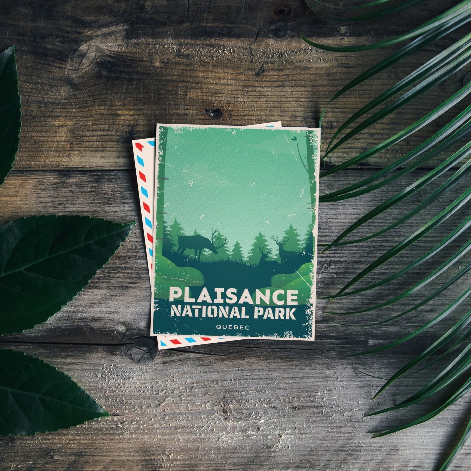 Plaisance Quebec National Park Postcard