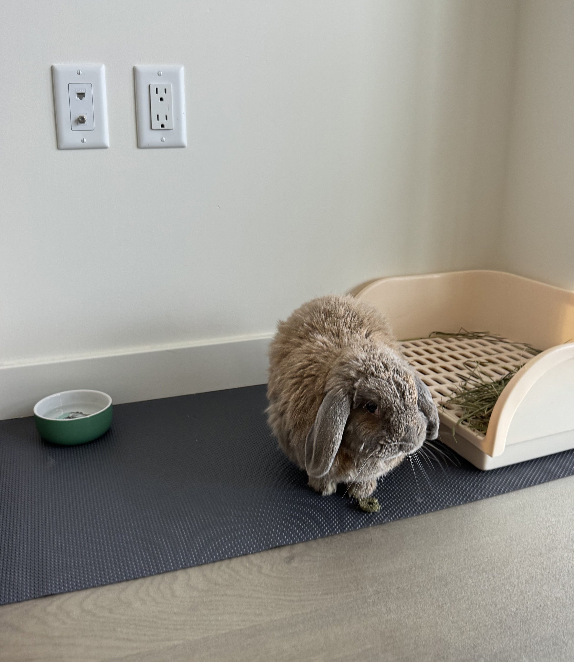 Tapis de cage polyvalent en EVA pour lapins, cochons d'Inde et reptiles, facile à découper, 45,7 cm x 200 cm
