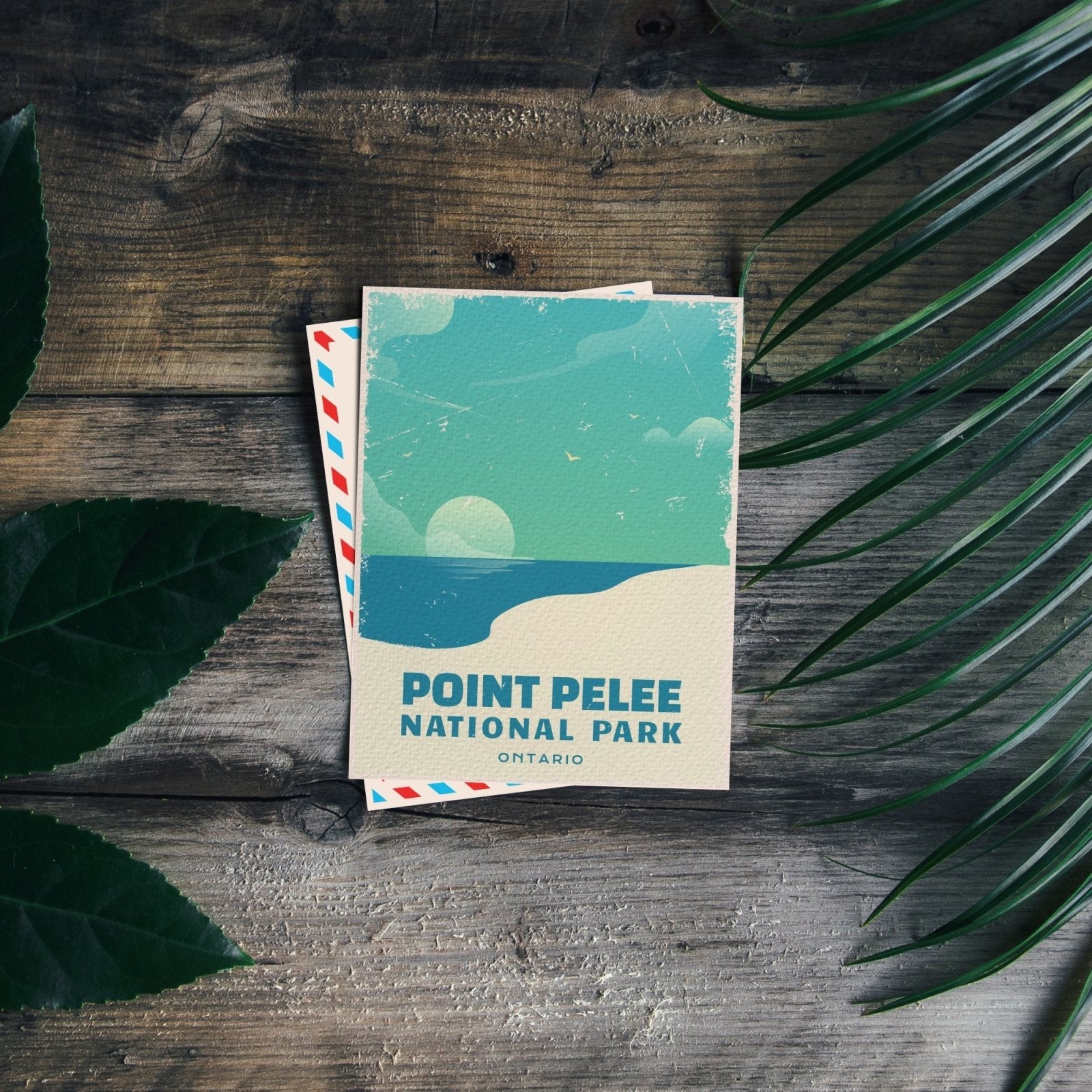 Point Pelee National Park of Canada Postcard