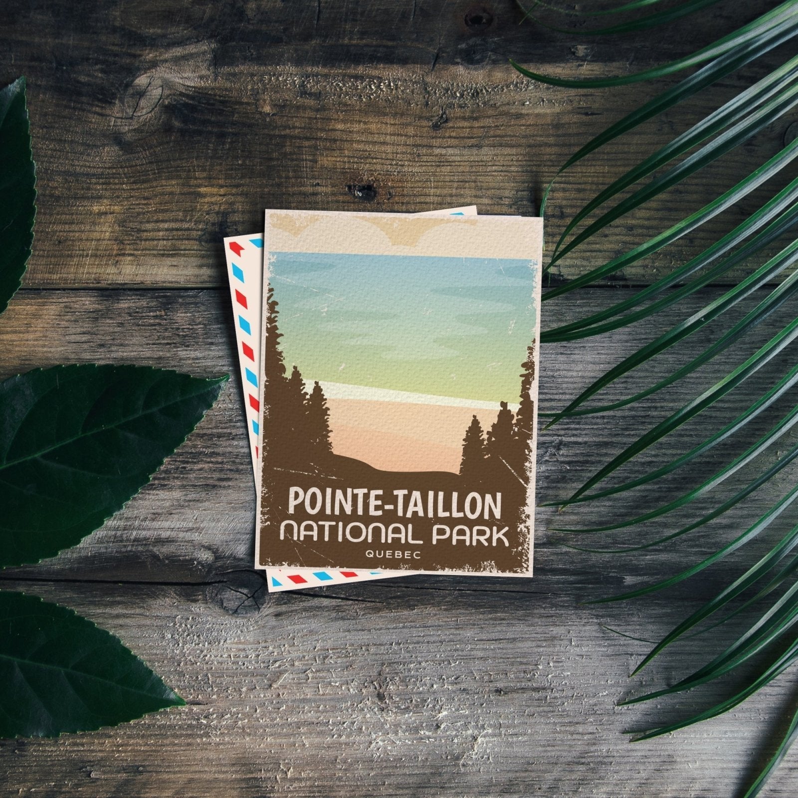 Pointe-Taillon Quebec National Park Postcard