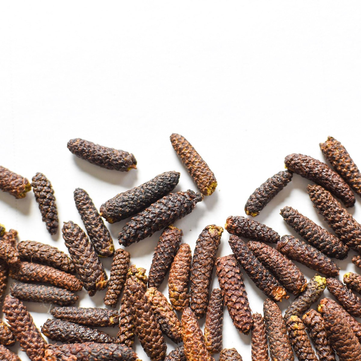 Dune Pepper