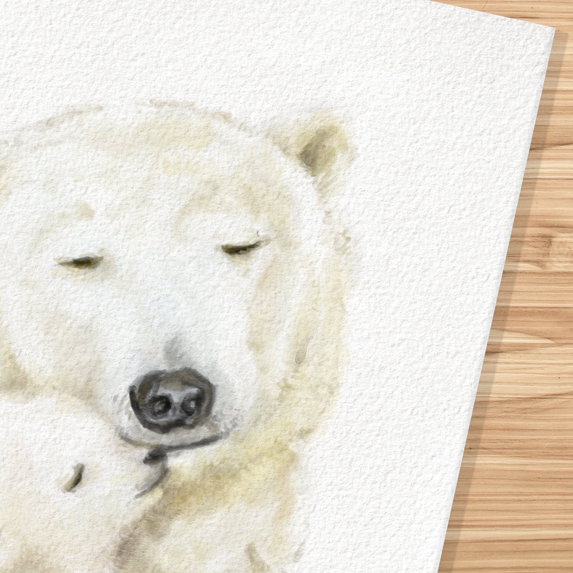 Illustration d'un bébé ours polaire et de sa mère