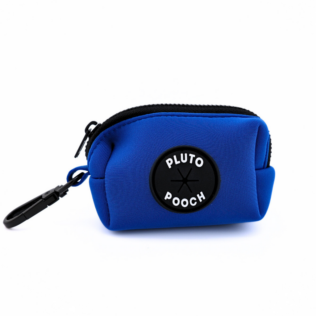 Ensemble laisse et collier pour chien très résistant