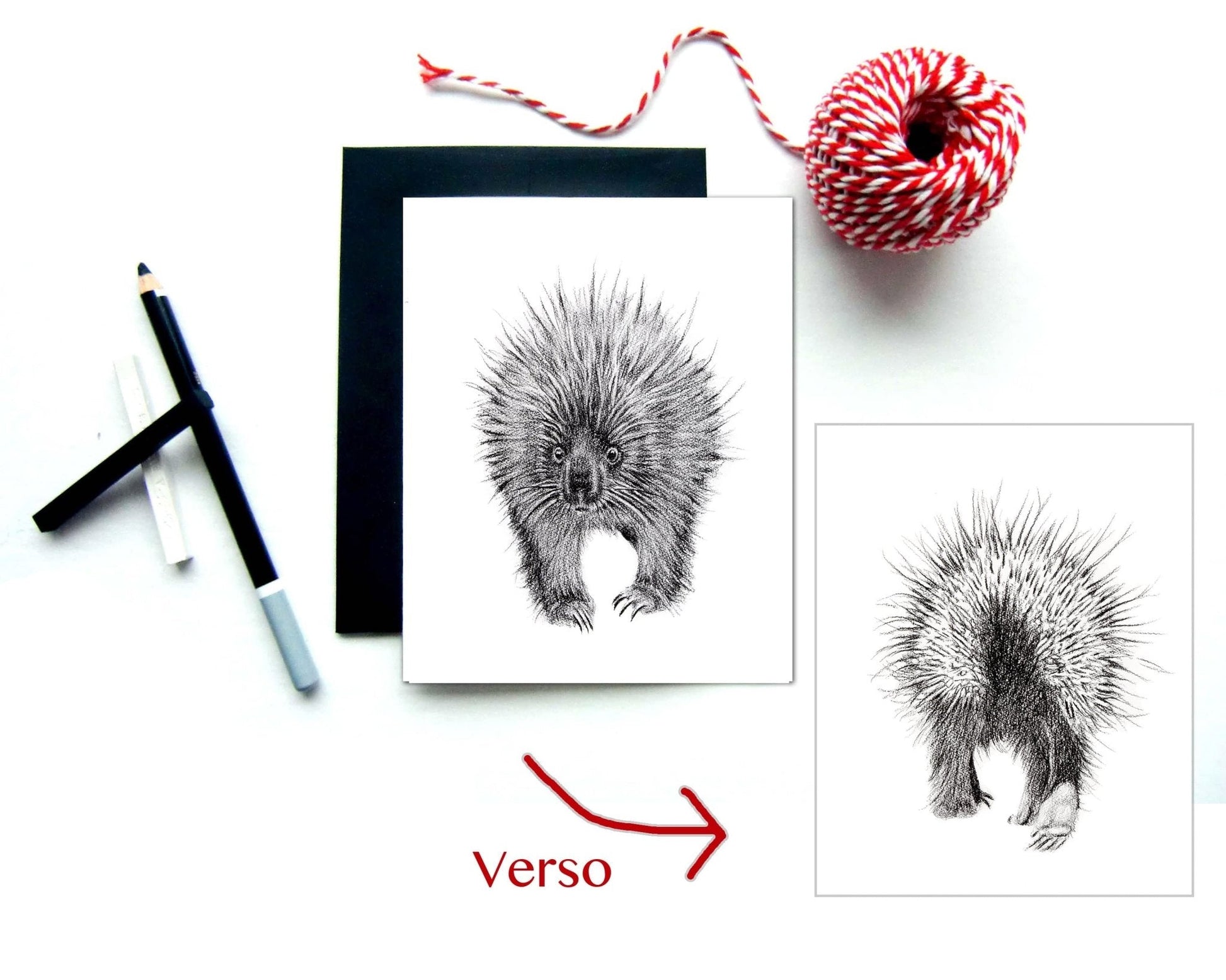 Porcupine front and back Greeting Card