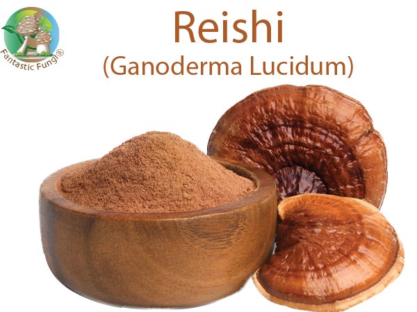 Ecogenya Gourmet Reishi Mushroom Powder – Organic Fruiting Body Extract, 35% Beta-Glucans