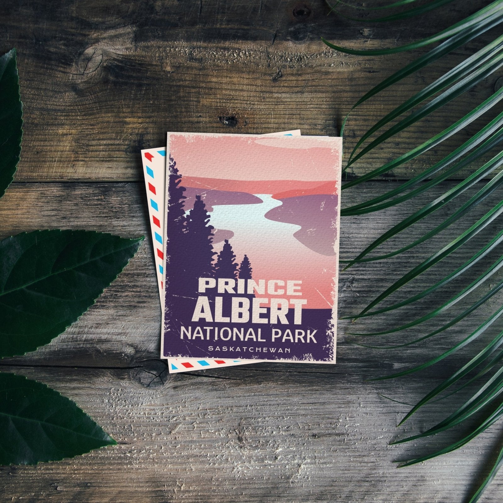 Prince Albert National Park of Canada Postcard