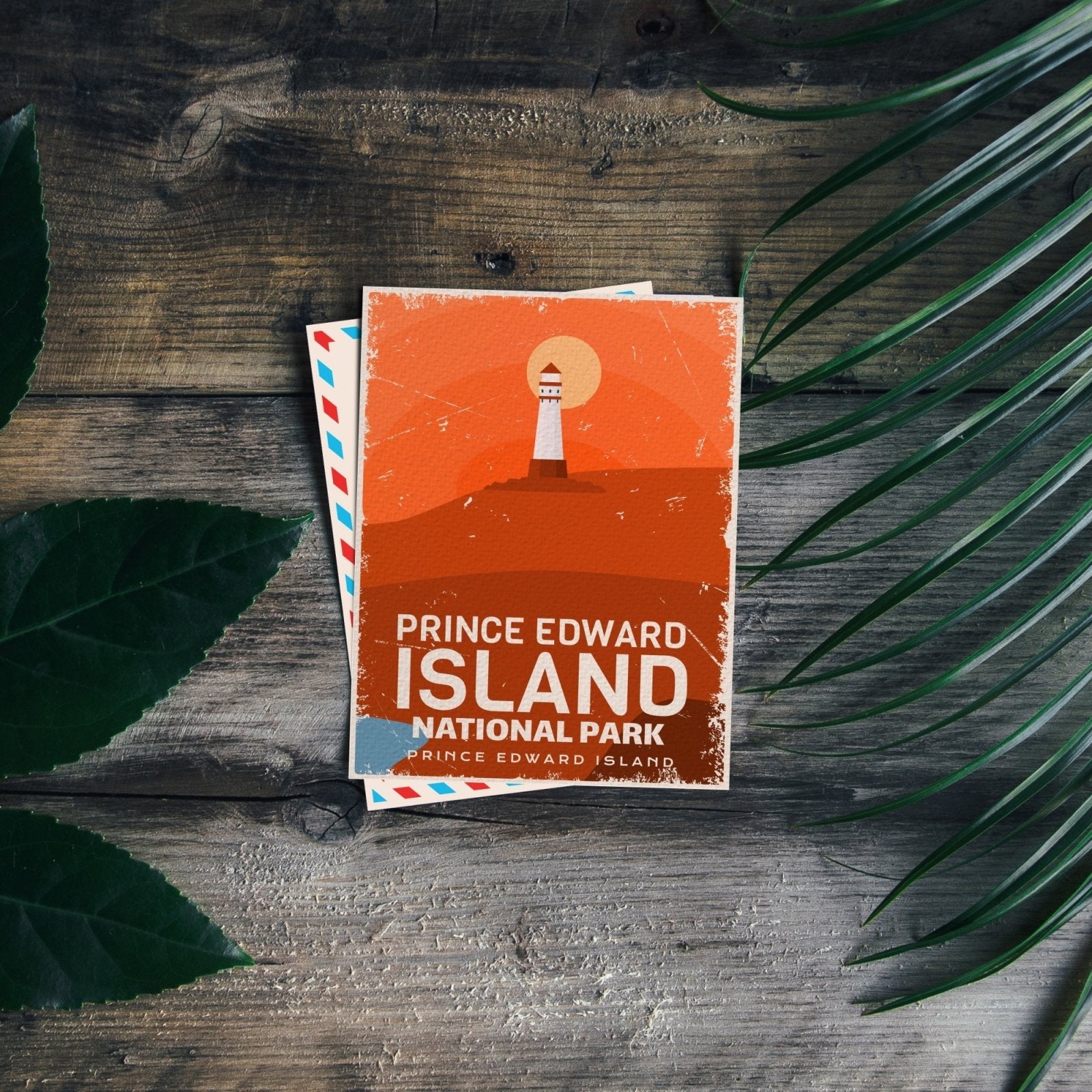 Prince Edward Island National Park of Canada Postcard