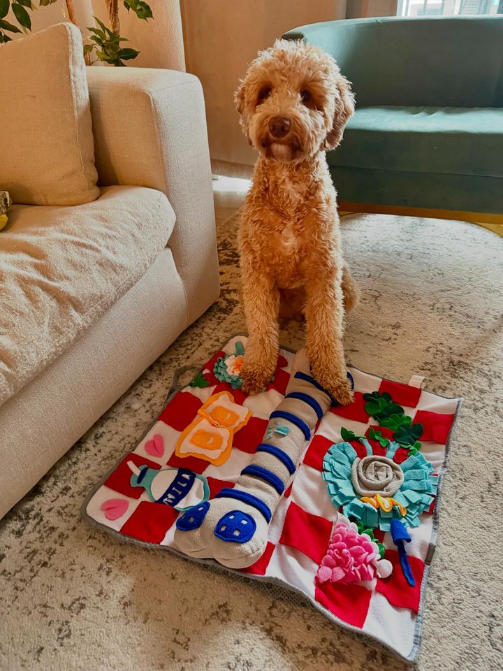 Tapis à renifler couineur pour chiens – Jeu interactif de recherche de nourriture, 61 cm